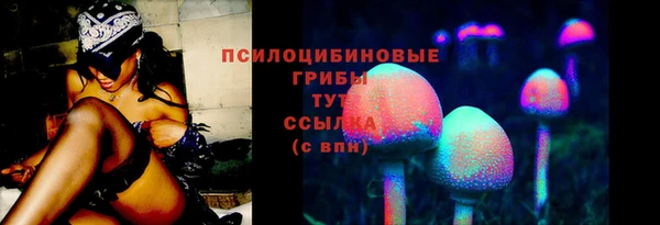 индика Россошь
