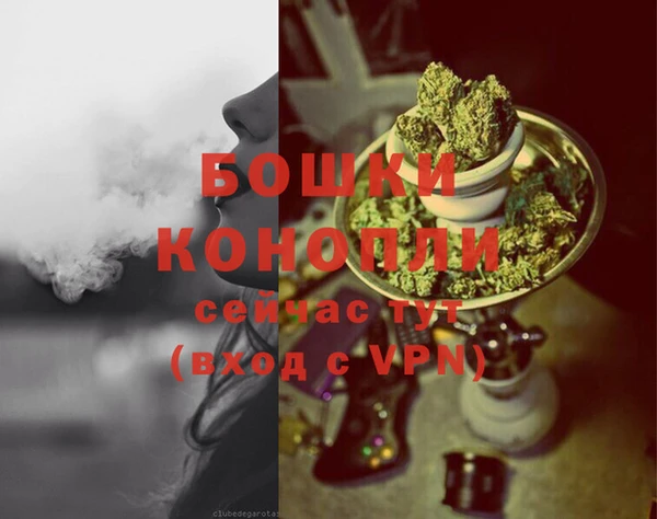 индика Россошь