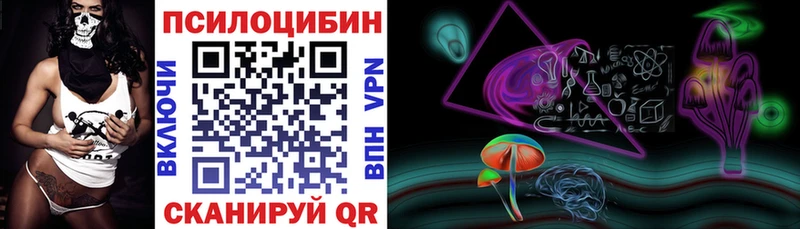 Псилоцибиновые грибы Cubensis  Купить где  Котовск 